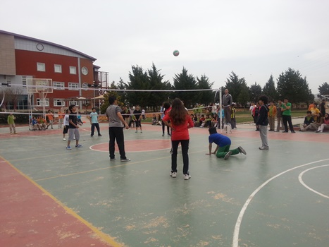 20130401_132107.jpg