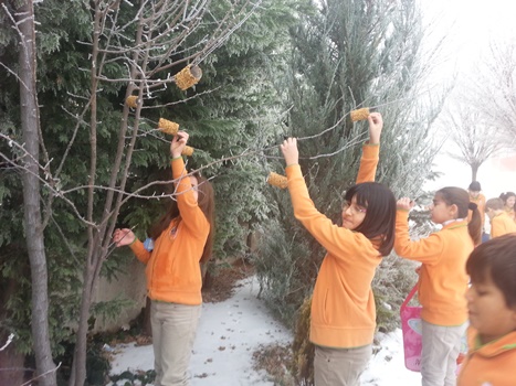 20131224_112533.jpg