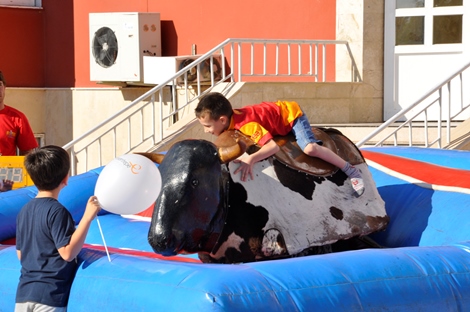 _dsc0393.20130617122047.jpg