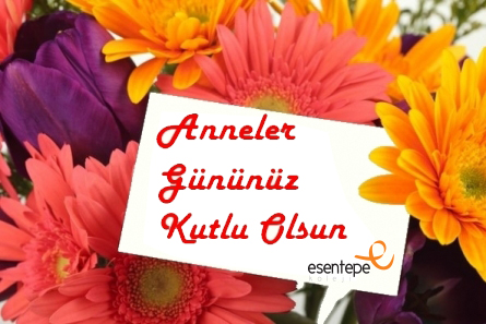 annelergunu.jpg