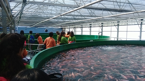 img_20160407_113409.jpg img_20160407_113409.jpg