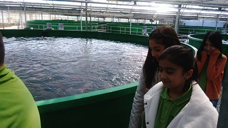 img_20160407_113537.jpg img_20160407_113537.jpg