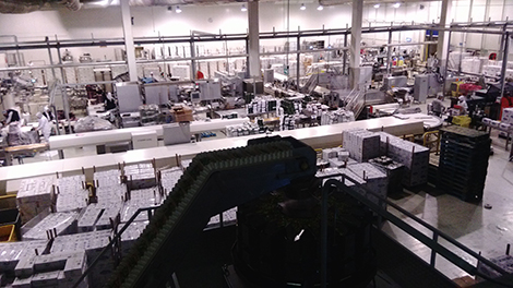 img_20160407_125250.jpg img_20160407_125250.jpg